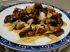 -保定会馆(秀兰店)