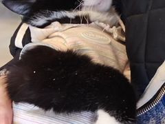 -平行世界·猫咖(首经贸店)