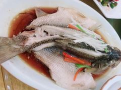 -粗茶淡饭•陕菜•家常菜