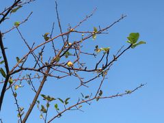 -春花秋色城市公园