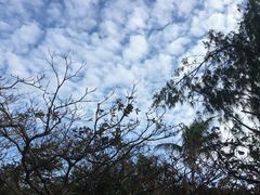 -鹅銮鼻公园