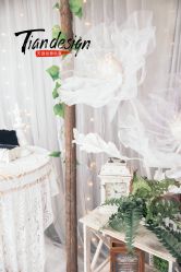 -Tian Design天源婚礼策划