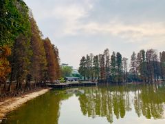 -华南国家植物园-售票处