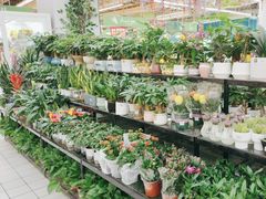 -大润发(张江店)