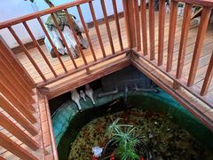 -锦上中式酒馆(南内环店)