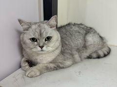 -贝康宠物医院·犬猫全科·小动物特色诊疗中心(东环路店)