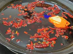 微辣锅底-肥龙火锅(南坪店)