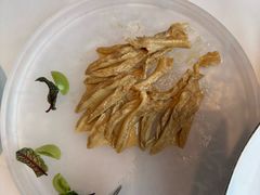 -大董(环贸iapm店)