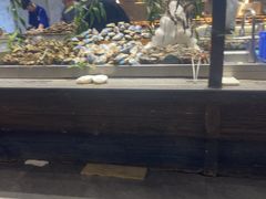 -半岛听涛蒸汽海鲜自助(K11店)