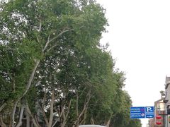 -清心素食自助餐厅(夫子庙店)