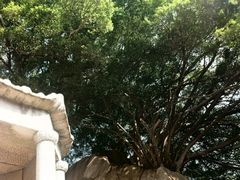 -草庵摩尼教遗址公园