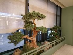 -潮上潮(南中环店)