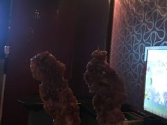 -辽B·小串(总店)