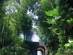 -仙霞关景区