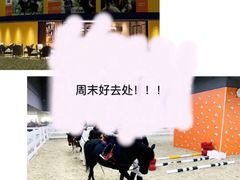 -骑乐马术(广州奥体优托邦中心)