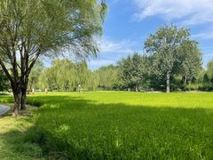 -北坞公园