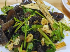 -桐梓锅贴饺(桃源东路店)