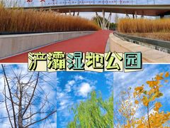 -西安浐灞国家湿地公园