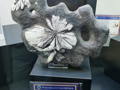 -中国地质大学逸夫博物馆
