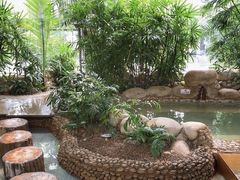 -三江森林温泉度假区