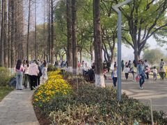 -食膳公园包子铺(烈士公园店)