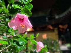 -虎丘山风景名胜区