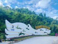 -西双版纳原始森林公园