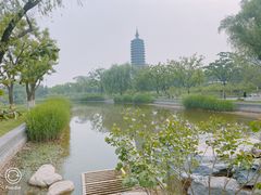 -西海子公园