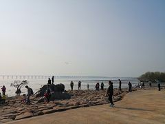 景点-宝安西湾红树林湿地公园