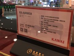 -柏斯音乐艺术中心·钢琴·吉他(世纪金源店)