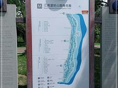 -江滩湿地公园