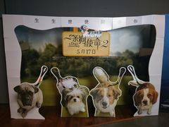 -沃美影城焕影岛LED/中国巨幕(万象汇店)