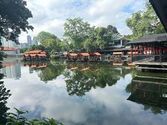 -侨美·唐荔园·40年地道粤菜