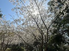 -上海市保健医疗中心