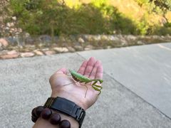 -北京西山国家森林公园