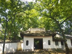 -上海佘山国家森林公园天马山园