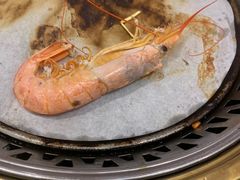-九寸花汀(摩天活力城店)