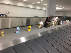 -中部国际机场