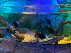 -沈阳海洋探索中心