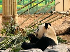 -秦皇岛野生动物园