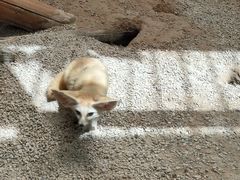 -昆明动物园