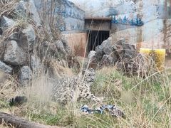 -青藏高原野生动物园