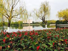 -杭州城北体育公园