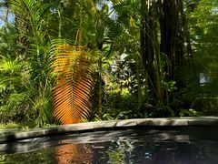 -碧桂园润杨溪谷温泉酒店