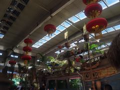 -南宫五洲植物乐园