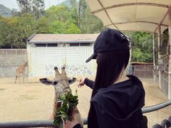 -泉州海丝野生动物世界