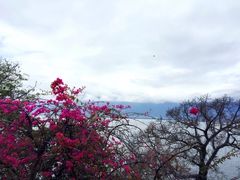 -南诏风情岛