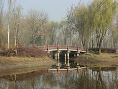 -北坞公园