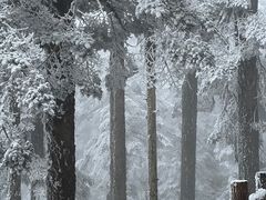 -瓦屋山景区