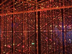 -正佳自然科学博物馆